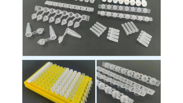 PCR 管：单管、4 排管与 8 排管的特点与应用